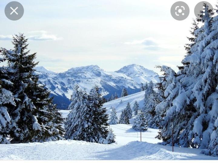 L'Oree Des Bois , Detente Et Calme . Mesigny Zewnętrze zdjęcie